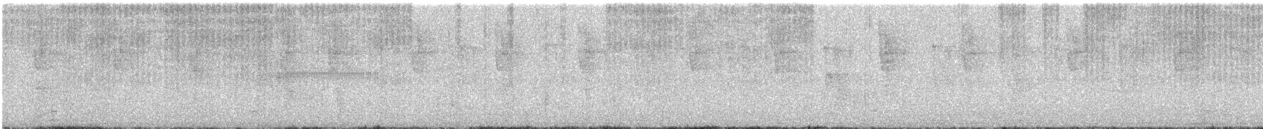 Пая кучерява - ML645988311