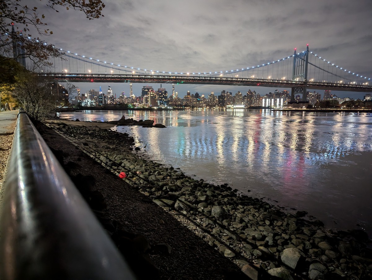 Amerika Gri Balıkçılı - ML645989031