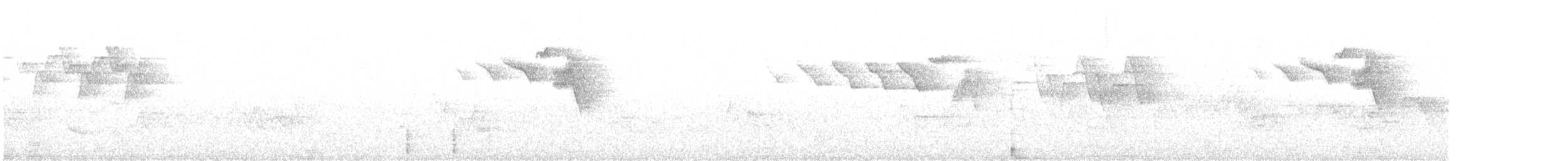 American Redstart - ML645989477