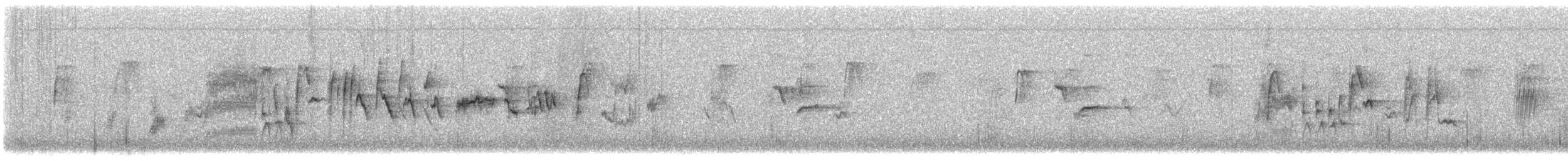 Bewick's Wren - ML645989700