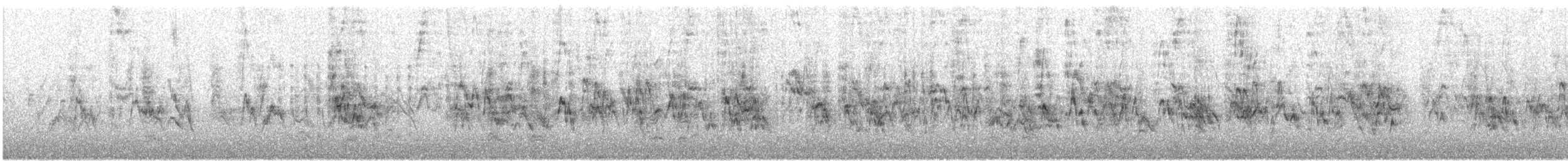 Gorrión Común - ML645989888