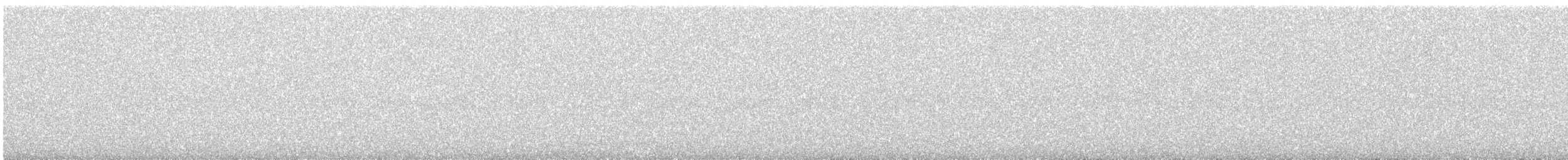 魚鷹 - ML645990135