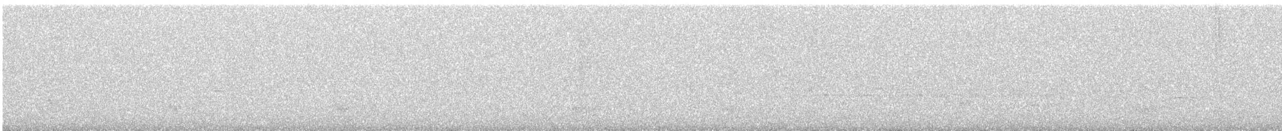 Brown-backed Solitaire - ML645990631