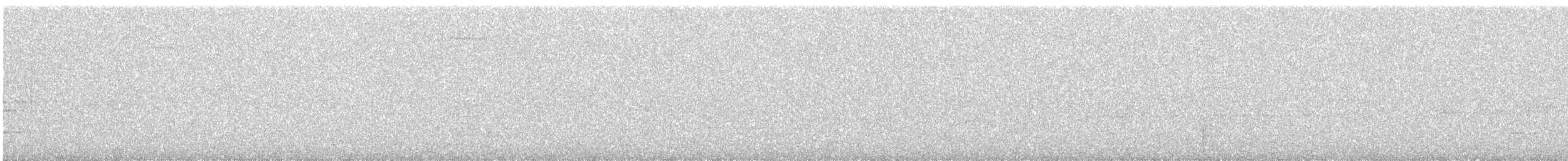 Brown-backed Solitaire - ML645990633