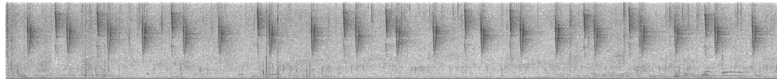 Colibri thalassin - ML645990837