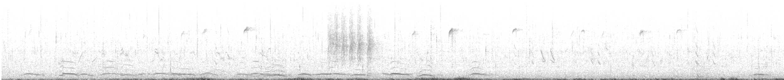 Tundra Swan - ML645991451