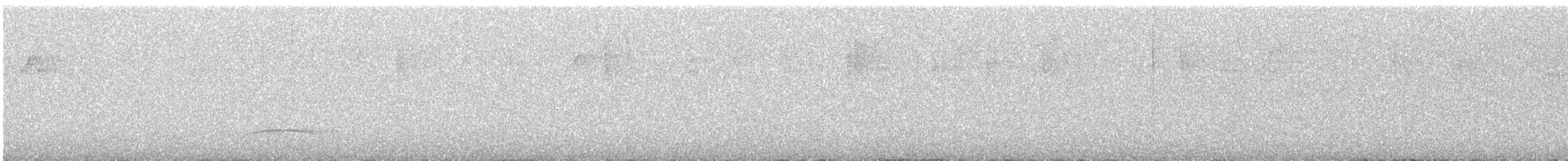 Большой бентеви, кискади - ML645991784