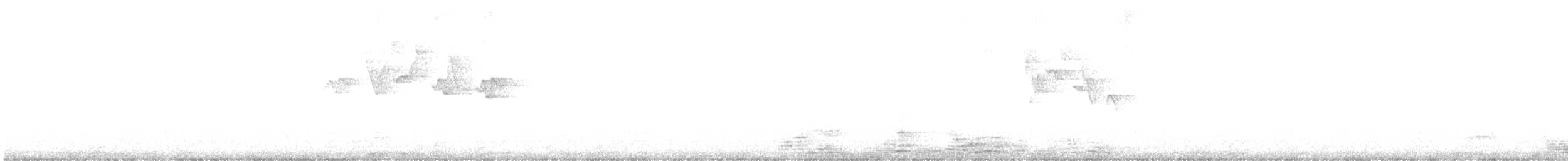 Phylloscopus sp. - ML645992570