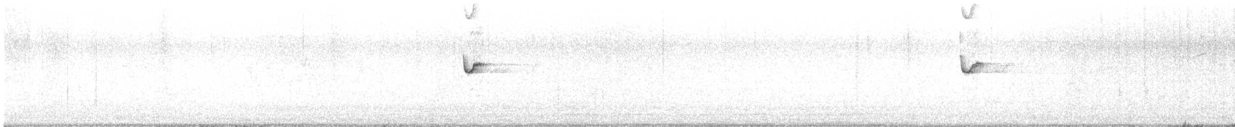 Malachite Sunbird - ML645992663