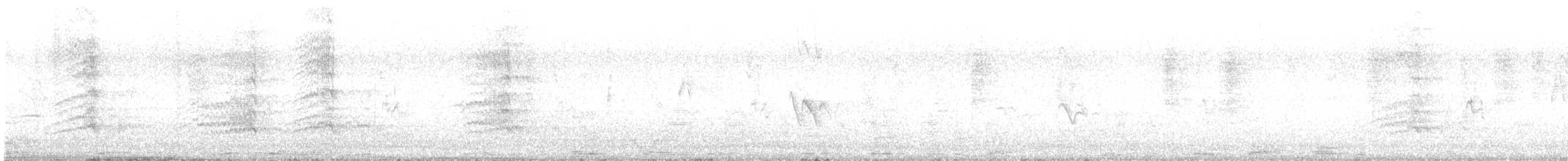 Crowned Lapwing - ML645992747