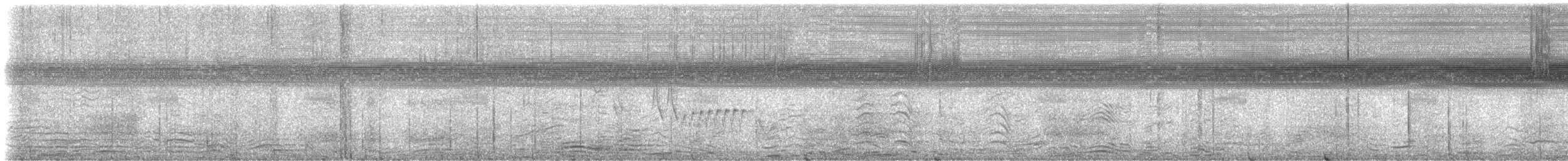 Southern House Wren - ML645992976