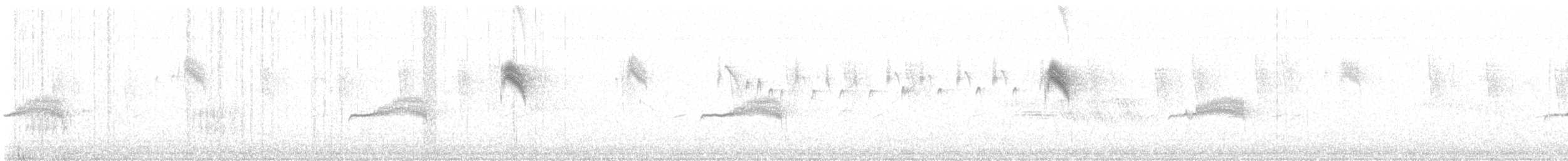 Blasskehl-Schnäppertyrann - ML645993621