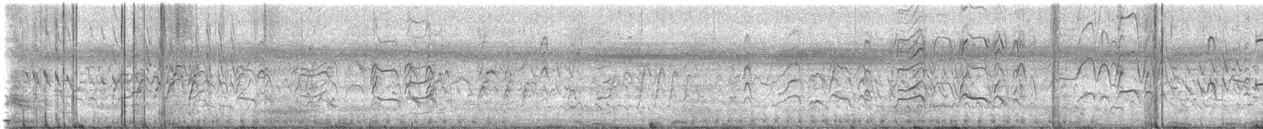 Black-bellied Whistling-Duck - ML645993831