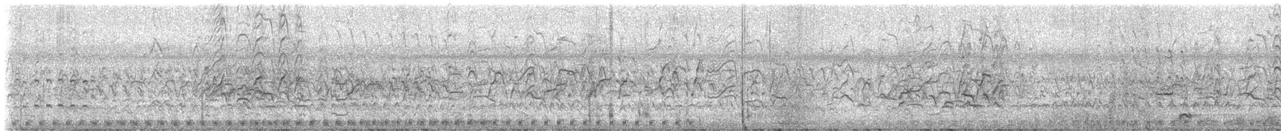 Black-bellied Whistling-Duck - ML645993866