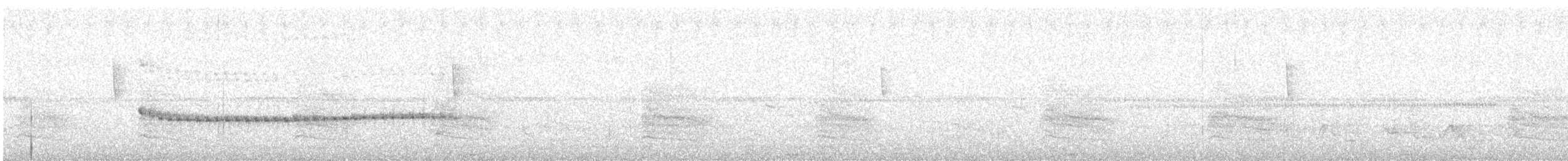 Long-billed Gnatwren - ML645994106