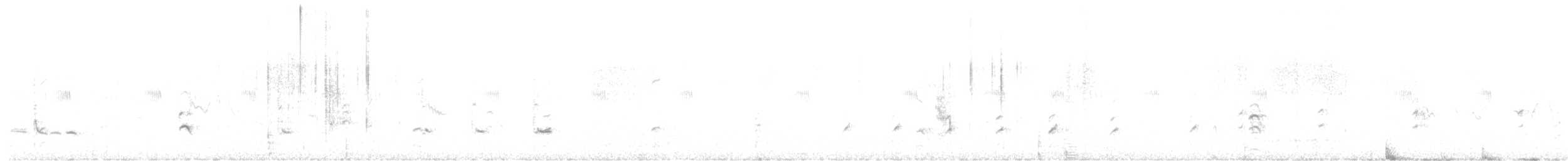 Échasse blanche - ML645994119