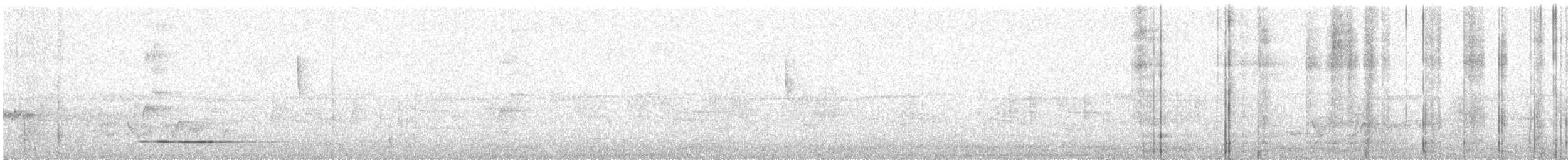 Thicket Tinamou - ML645994125