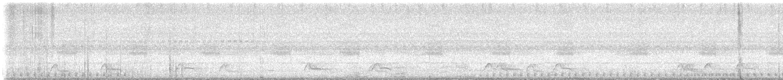 Common Pauraque - ML645994126