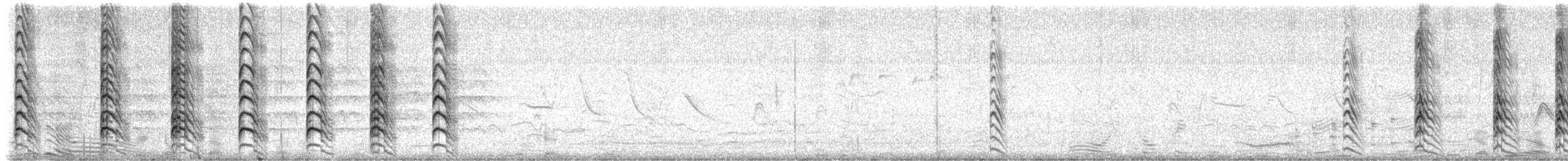 Southern Lapwing - ML645994247