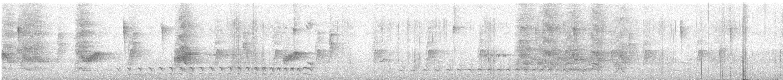 Bindenameisenwürger - ML645994274