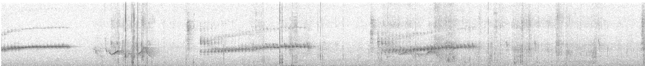 Long-billed Gnatwren - ML645994429