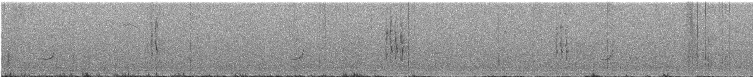 Willow Warbler - ML645994593