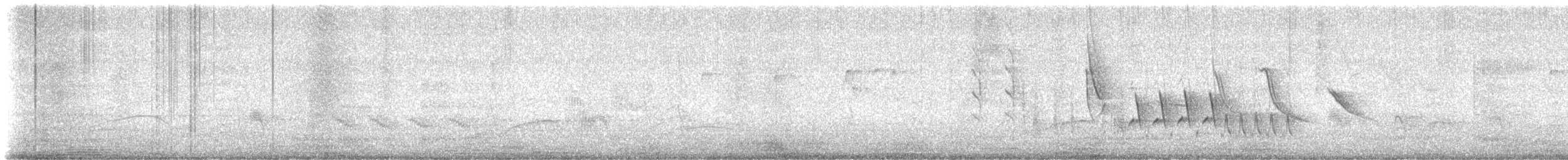 Southern House Wren - ML645994641