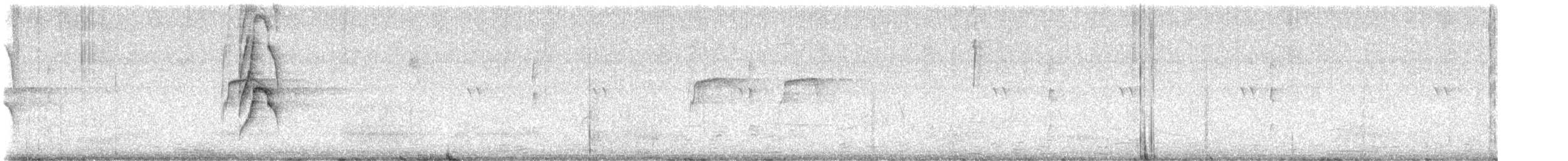 Social Flycatcher - ML645994783