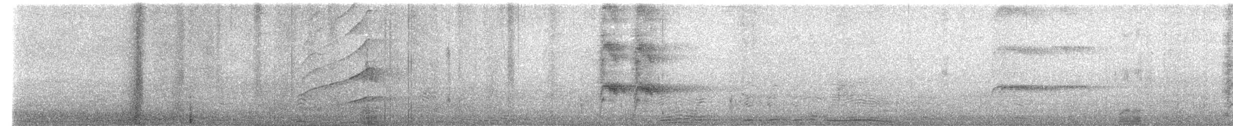 Great-tailed Grackle - ML645995210