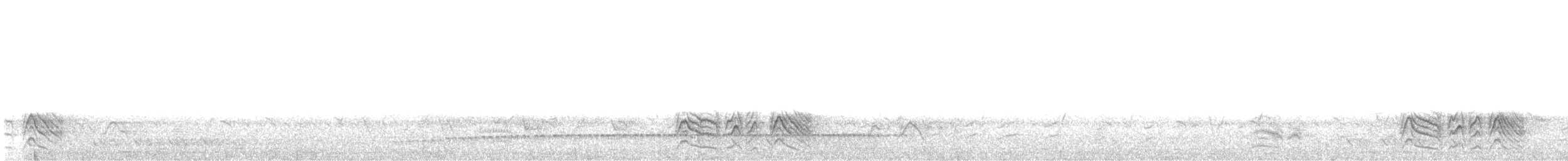 Black-lored Babbler - ML645995541