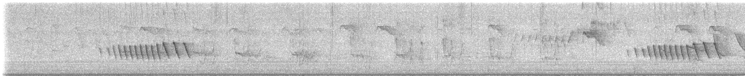 Semillero Overo - ML645996165