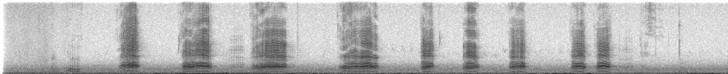 Common Raven - ML645996200