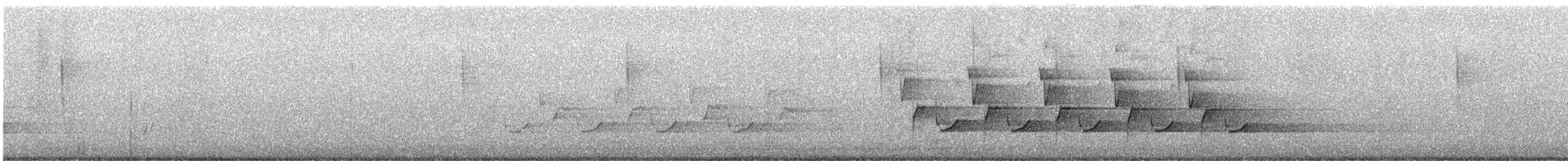 Carolina Wren - ML645996224