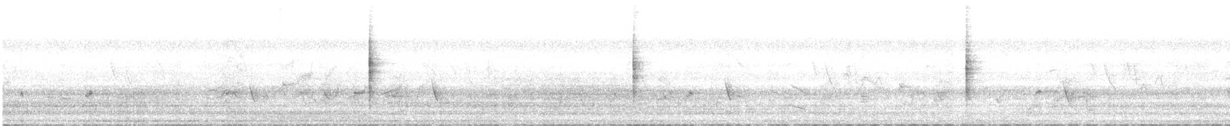 Blyth's Reed Warbler - ML645996252