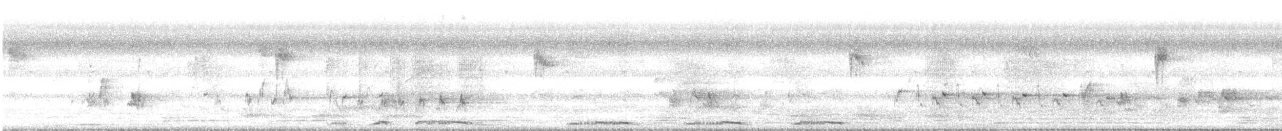 Spotted Dove - ML645996420