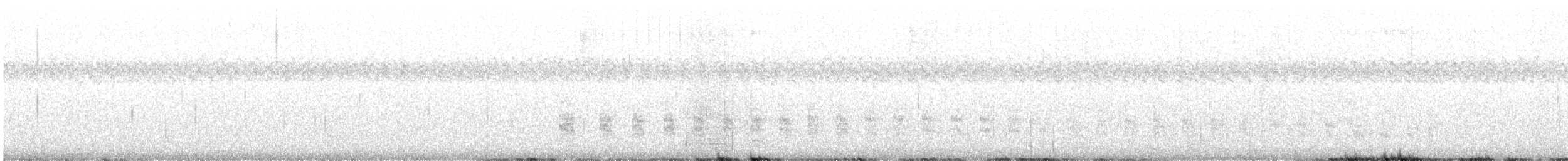 Clapper Rail - ML645996761