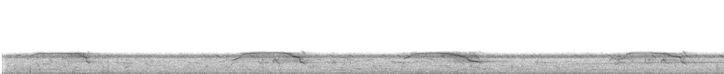 Augur Şahini - ML645996984