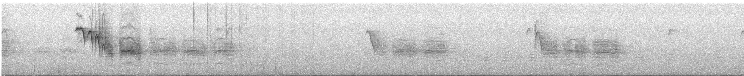 Gambel Baştankarası - ML645997237