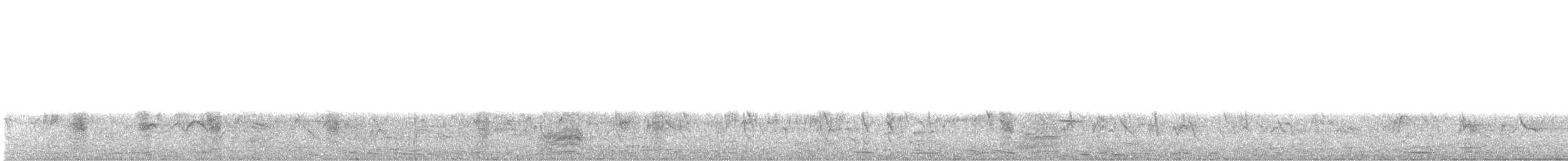 İnce Gagalı Dokumacı - ML645997393