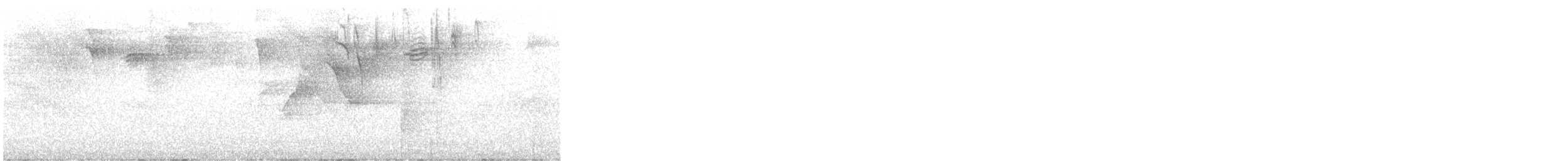 Adelaide's Warbler - ML645997609