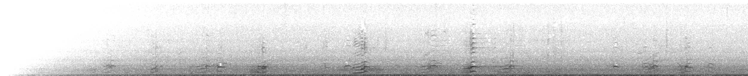 Oca canadese maggiore - ML645997624