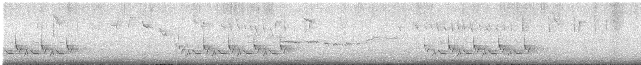 Carolina Wren - ML645997664