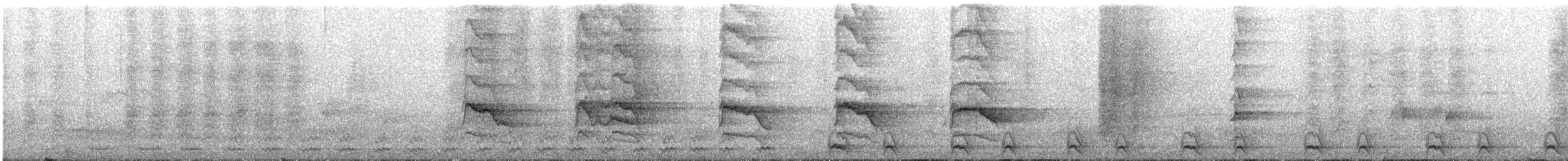 Jungle Owlet - ML645997957