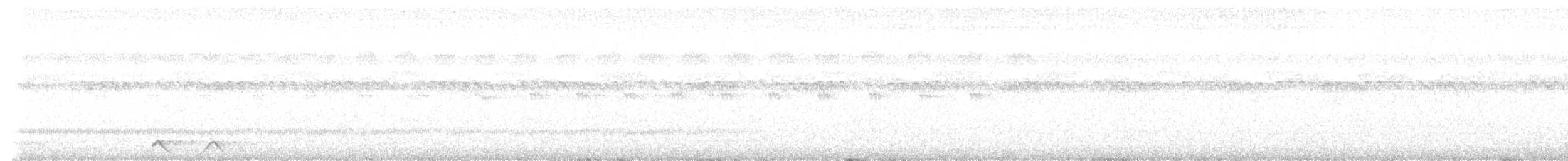 Freckled Nightjar - ML645998427