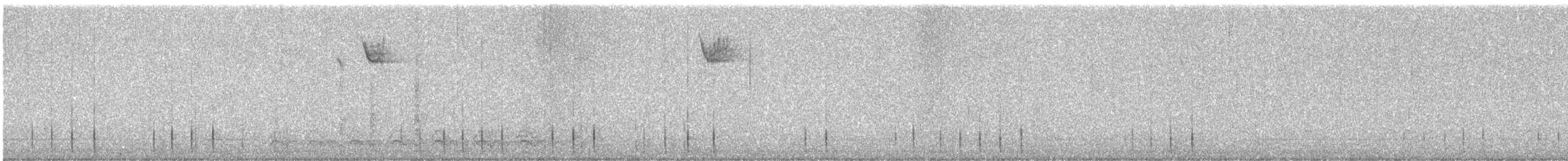 Gelbbauch-Saftlecker - ML645998695