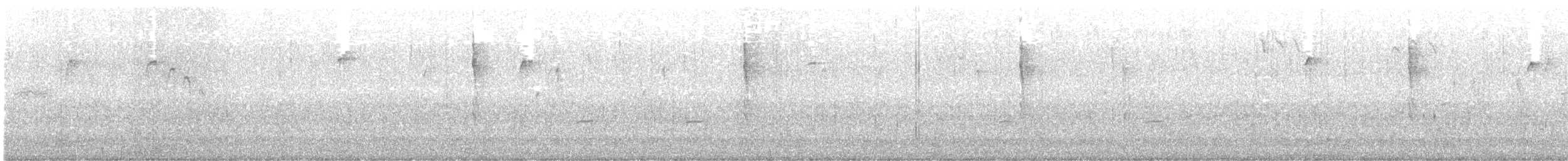 Pacific Wren - ML645999451