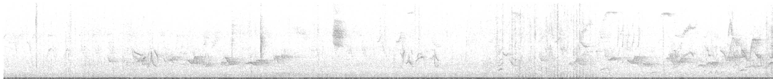 Black-throated Gray Warbler - ML645999526