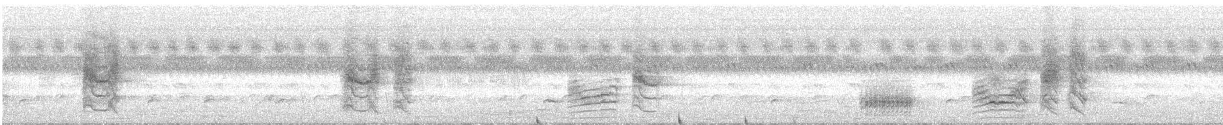 Fork-tailed Drongo - ML645999856