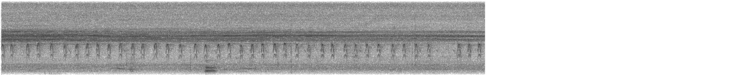 Amethyst Sunbird - ML645999864