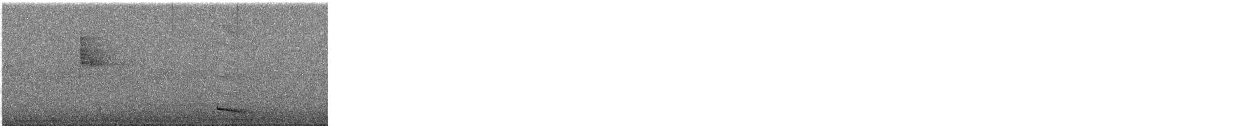 Lance-tailed Manakin - ML645999911